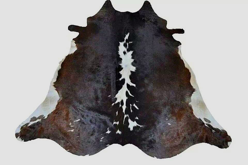 Tricolor Cowhide rug